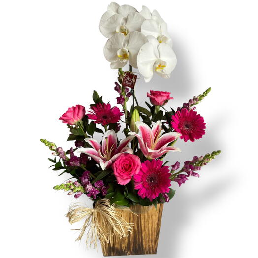 Arranjo de Orquideas e Flores