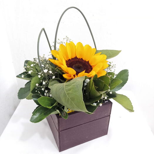 Arranjo Girassol Solitario - Classico 1