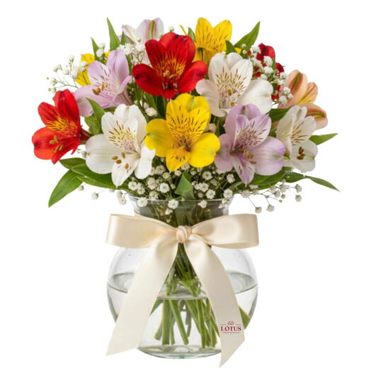 Mini Astromelias no Vaso