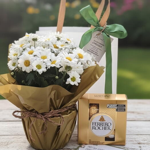 Sacola Luxo das Mulheres