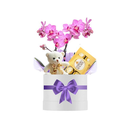 Box Orquidea com Pitico e Ferrero Rocher