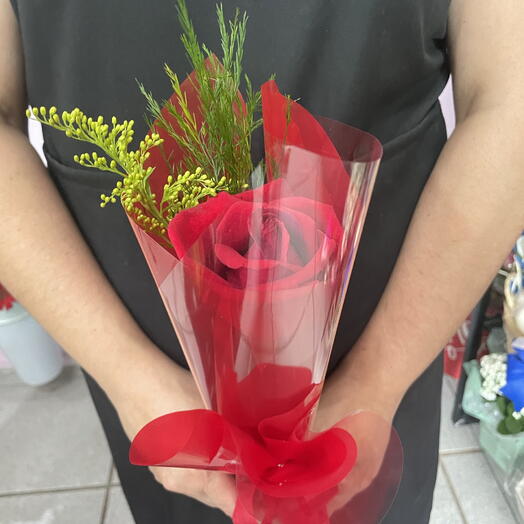 Solitario de Rosa vermelho