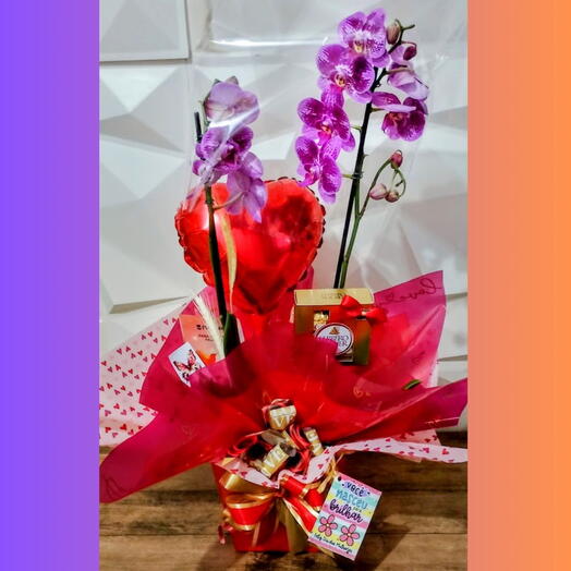 Orquidea Phaleanopsis