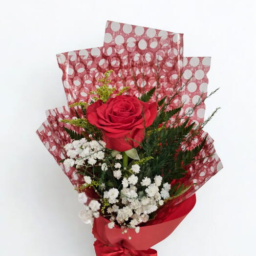 Rosa Colombiana Para Presente