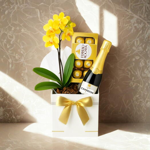 Cesta Momento de Carinho