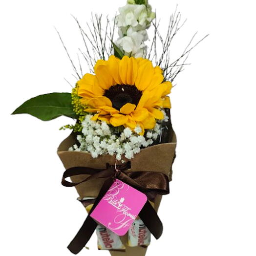 Girassol com Nutella B-Ready