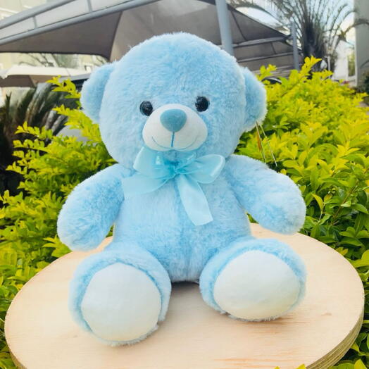Pelucia Urso Azul