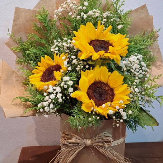 Encanto de Girassol
🌻