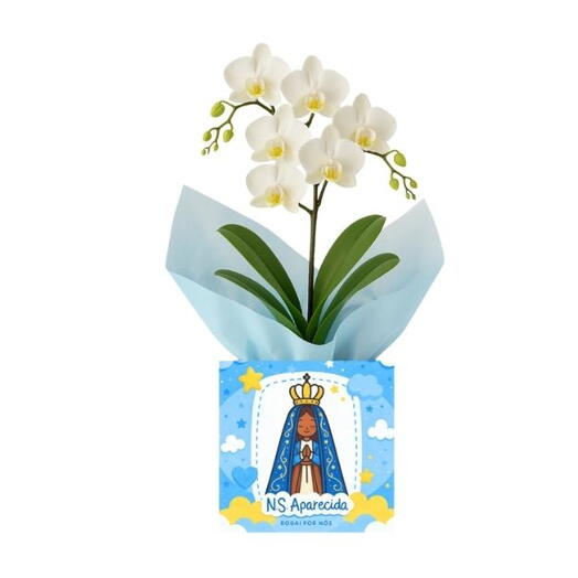 Arranjo de Orquidea branca no cachepo da Nossa Senhora de Aparecida