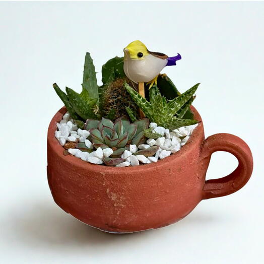 Mini Terrario na Xicara