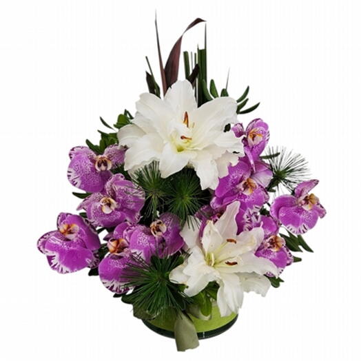 Arranjo de Orquideas de Corte