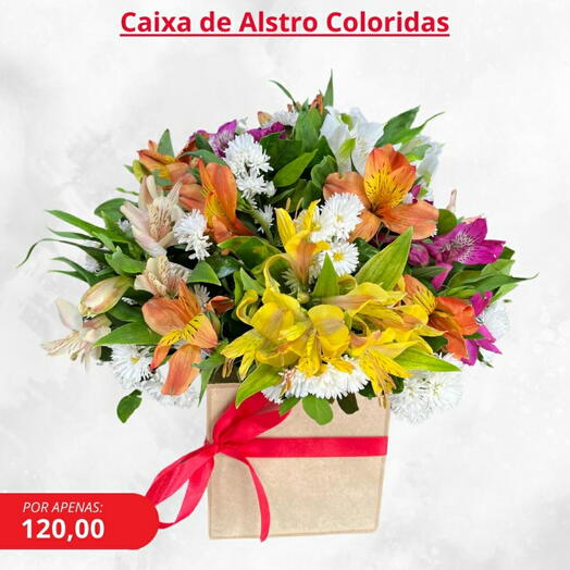 Caixa de Flores Alstroemerias