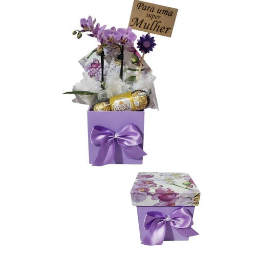 Mini Orquiedea Encanto