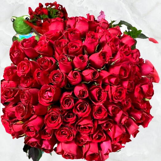 Buque com 100 rosas vermelhas