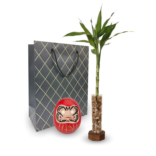 Kit Presente Suporte Rustico com Bambu da Sorte + Boneco Daruma