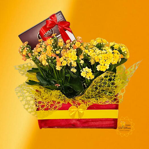 Arranjo Harmonia com Ferrero