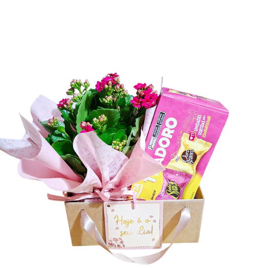 Cesta Hoje e o seu dia