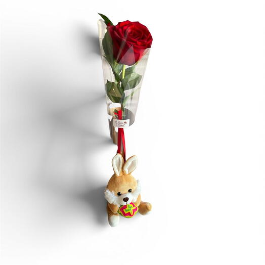 Rosa com Coelhinho
