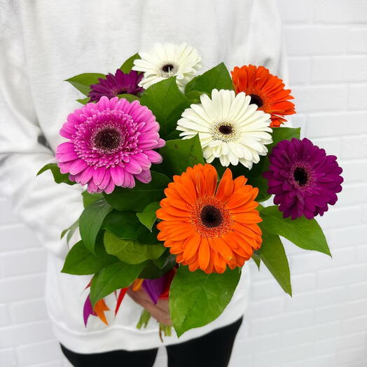 Buquê de Gerberas