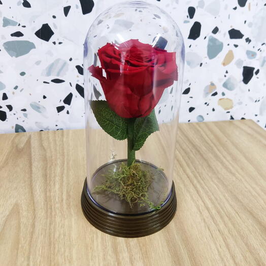 Rosa Encantada Vermelha