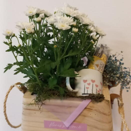 Replica de Flores