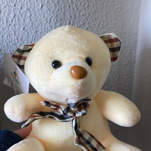 Pelucia Fofo