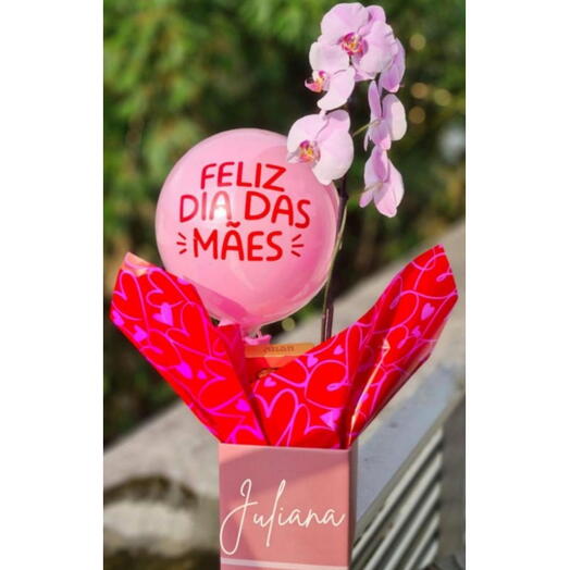 Box Orquidea Singela Dia das Mães