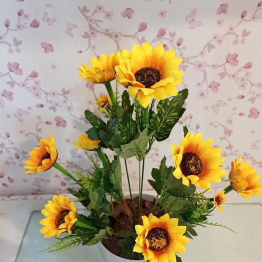 Mini Girassois 🌻