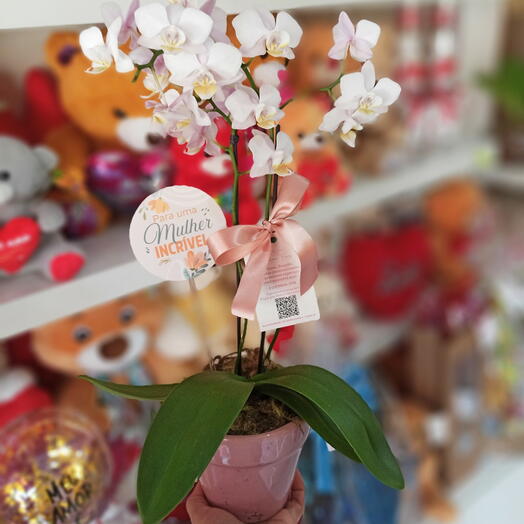 Orquidea "Para uma mulher incrivel" 💖