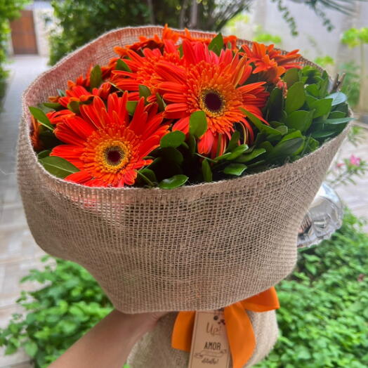 Buquê de Gerberas