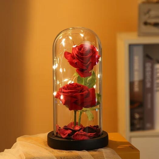 Luminaria A Bela e a Fera