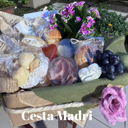 Cesta Madri