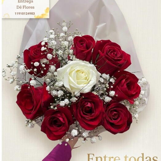 Entre Todas Escolhi Você