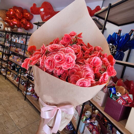 Begonia Rosa No Craft