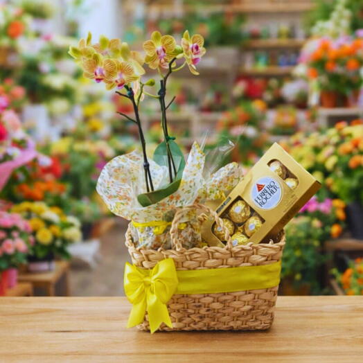 Cesta com orquideas amarelas e bombons Ferrero Rocher