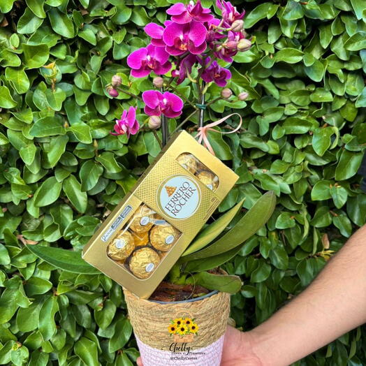 Mini Orquidea no Vaso Com Ferrero Rocher
