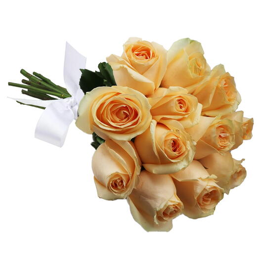 Buquê de 18 Rosas Champanhe