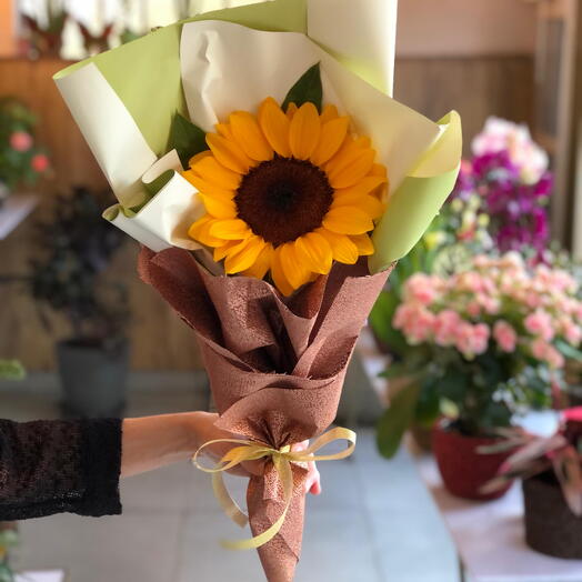 Girassol Embrulhado