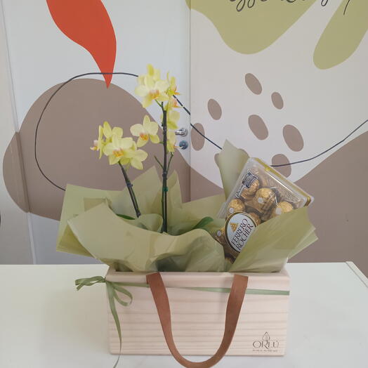 Kit Orquidea e Chocolate