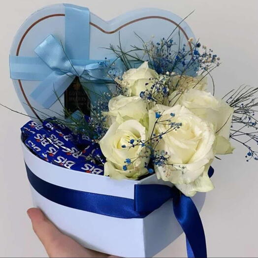 Box Calamaria