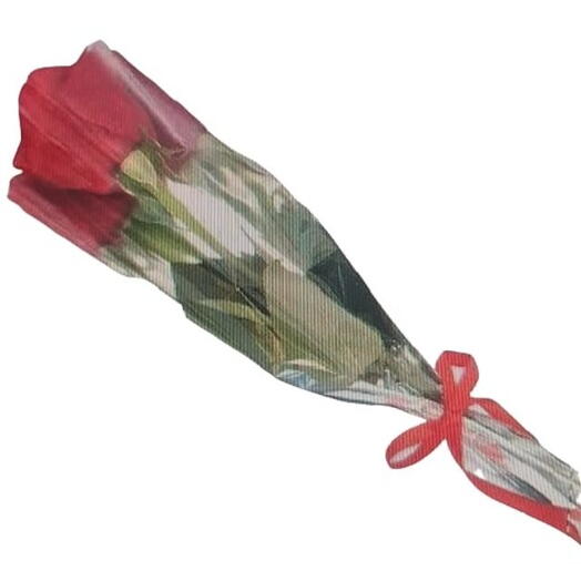 Botões de Rosa Decorado