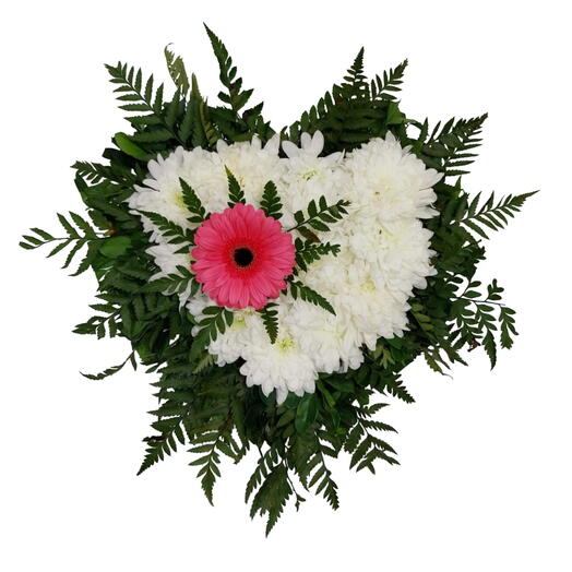 Arranjo de Coração com Crisântemo e Gerberas