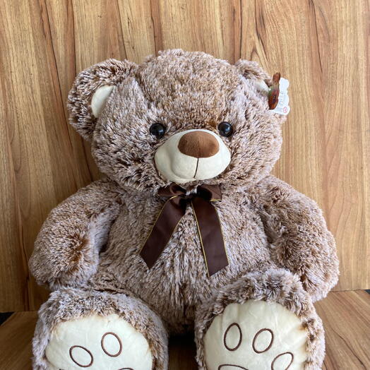 Urso Ted