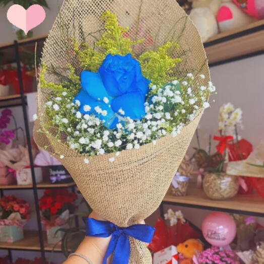 Rosa Carola Azull Na Tela