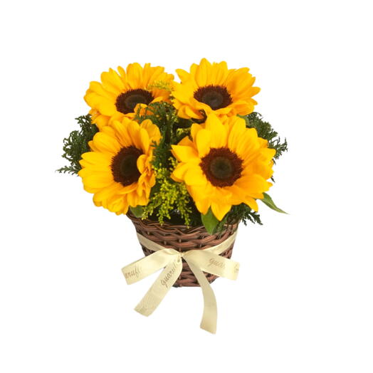 Quarteto de Girassois