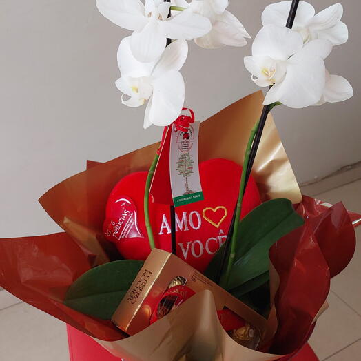 Orquidea c/chocolate no balde vernelho