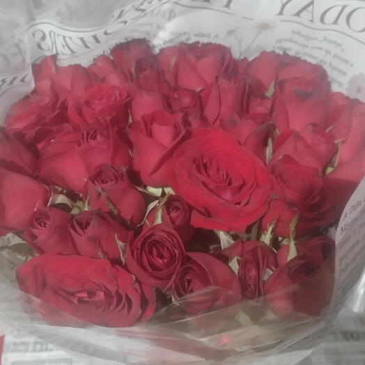 Buquê de 50 Rosas vermelhas