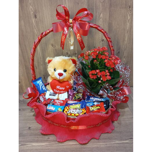 Cesta Romântica Vermelha com Vaso de Planta Natural