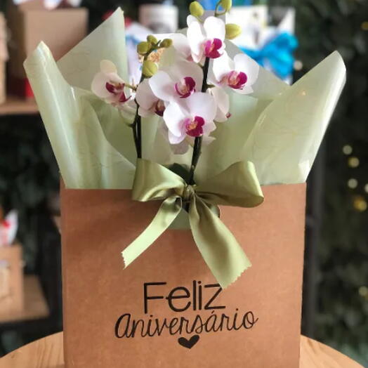 Orquidia em Bolsa Kraft de Aniversario