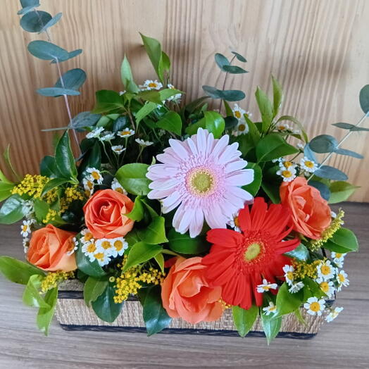 Arranjo Frontal Retangular